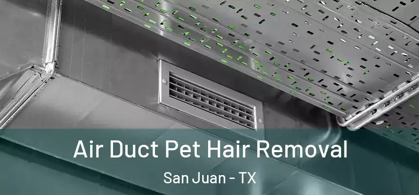  Air Duct Pet Hair Removal San Juan - TX