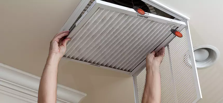 Preventive Cockroach-Proofing for Ducts in San Juan