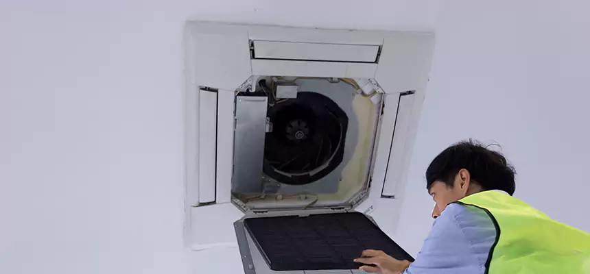Our Dryer Vent Sanitization Service Services in San Juan, TX
