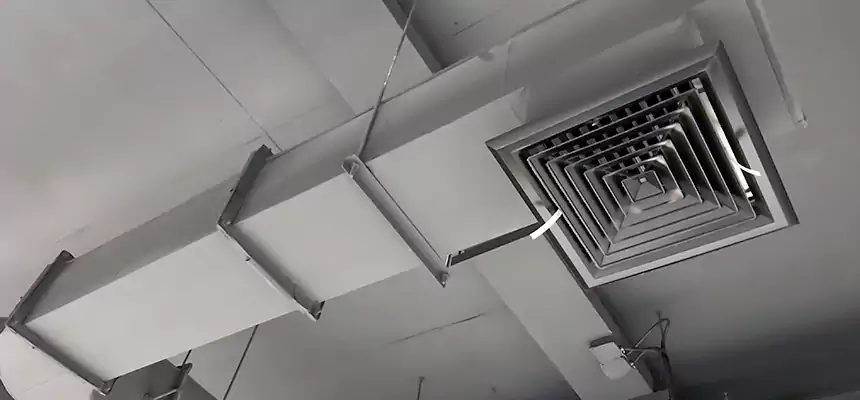 Our Pest Removal From Ducts Services in San Juan, TX