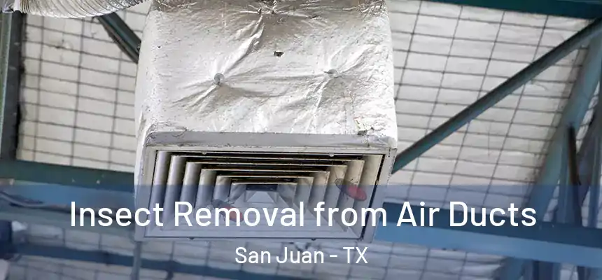  Insect Removal from Air Ducts San Juan - TX