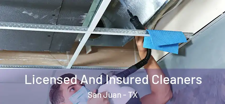  Licensed And Insured Cleaners San Juan - TX
