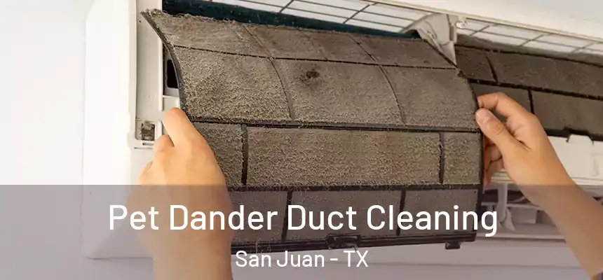 Pet Dander Duct Cleaning San Juan - TX