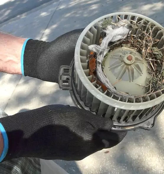 About Air Duct Mice Removal in San Juan, TX