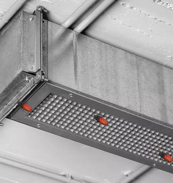 Affordable Insect Removal from Air Ducts in San Juan, TX