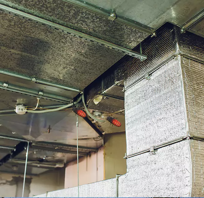 Why Homeowners & Businesses Trust Us in San Juan, TX?