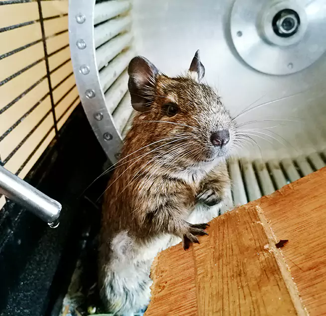 Why Homeowners & Businesses Trust Us San Juan, TX