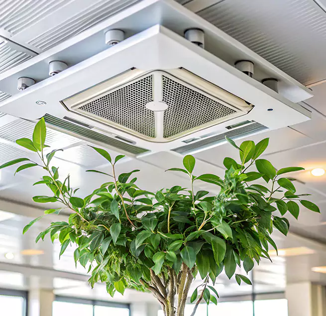 Why Homeowners & Businesses Trust Us in San Juan, TX?